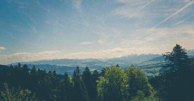 Diagnostic Assessment